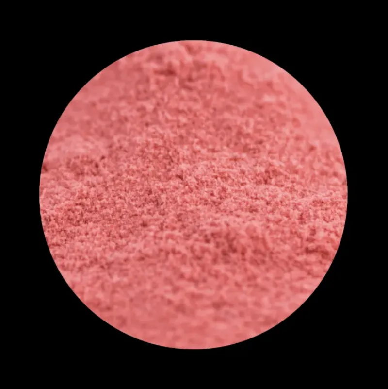 Naturaplaza Aardbeien Poeder Gevriesdroogd Biologisch Discount