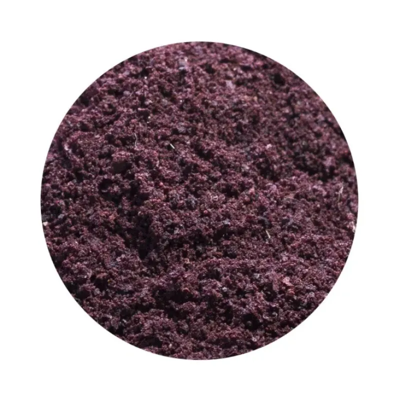 Naturaplaza Acai Poeder gevriesdroogd Biologisch Hot