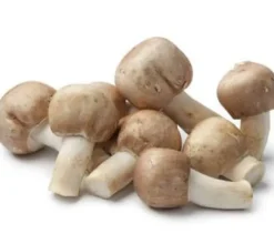Naturaplaza Amandelpaddenstoel Poeder Agaricus Blazei Biologisch Sale