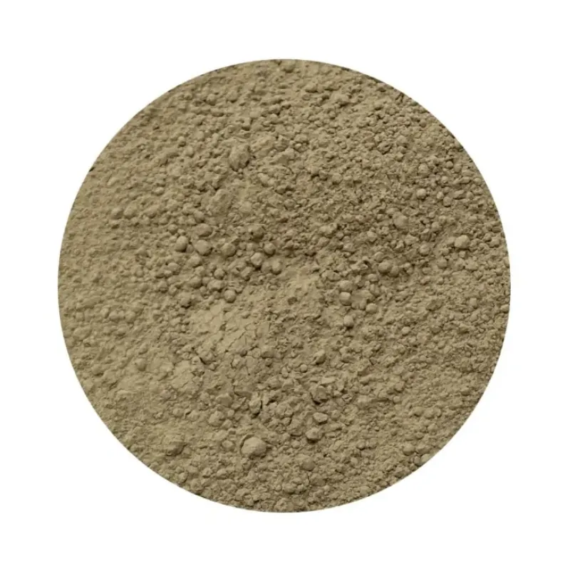 Naturaplaza Amla Poeder Biologisch Best