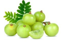 Naturaplaza Amla Poeder Biologisch Best