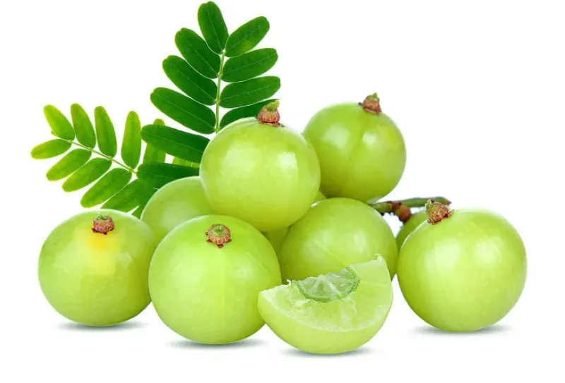 Naturaplaza Amla Poeder Biologisch Best