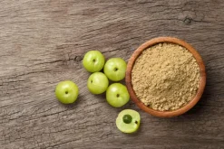 Naturaplaza Amla Poeder Biologisch Best
