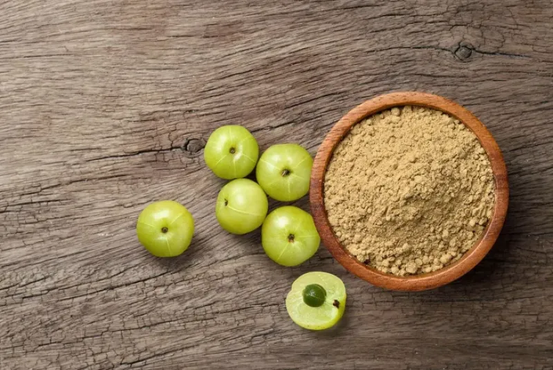 Naturaplaza Amla Poeder Biologisch Best