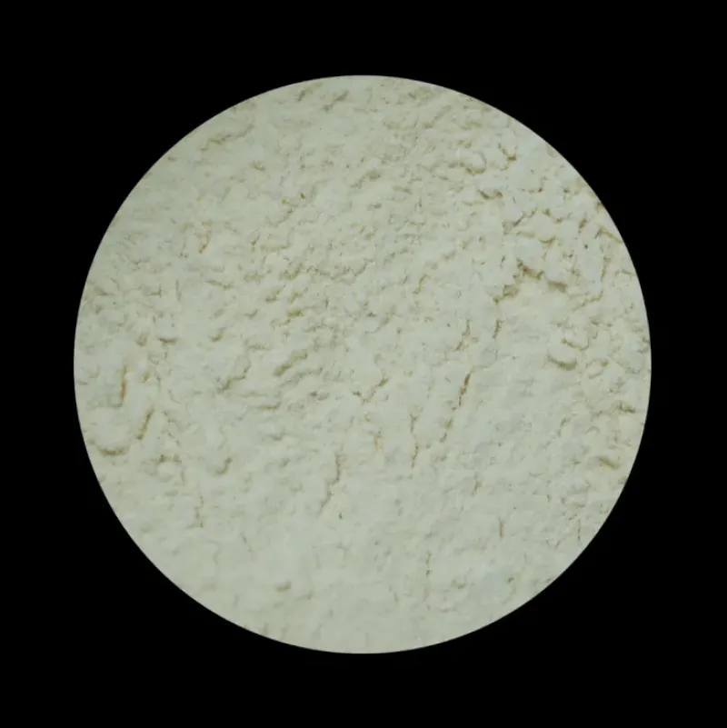 Naturaplaza Appel Poeder Gevriesdroogd Biologisch Clearance