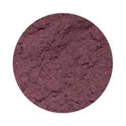 Naturaplaza Aronia Bessen Pulp Poeder Biologisch Hot