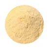 Naturaplaza Bananen Poeder Biologisch Hot