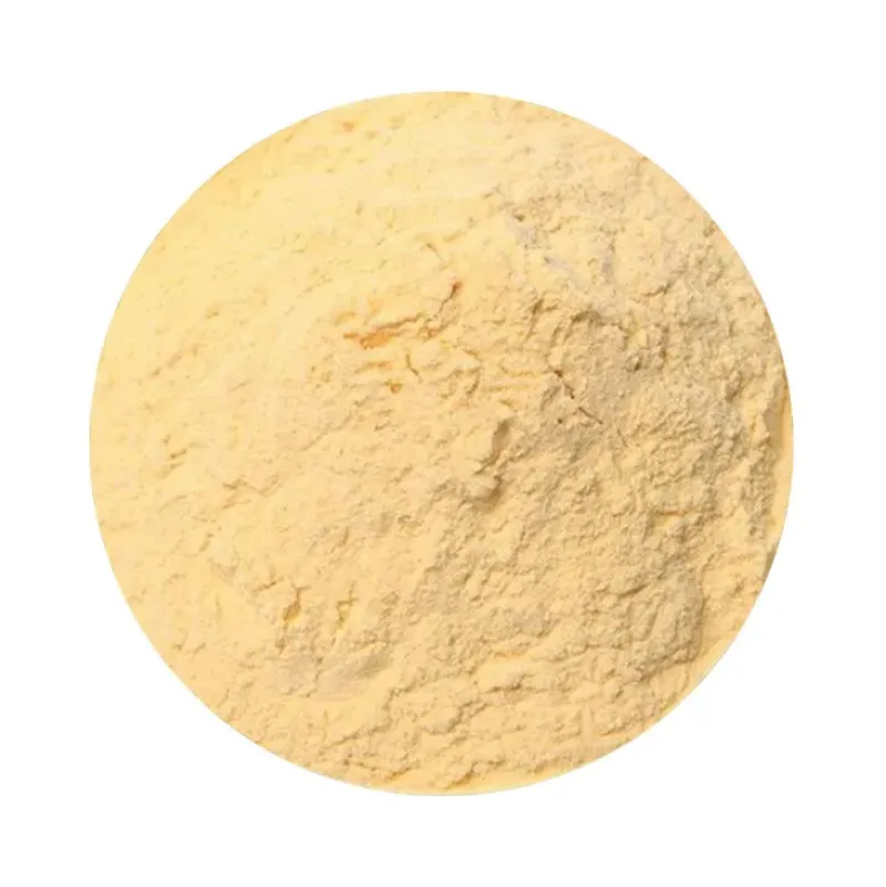 Naturaplaza Bananen Poeder Biologisch Hot