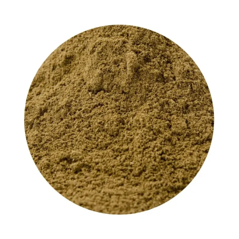 Naturaplaza Basilicum Poeder kiemarm Biologisch Outlet