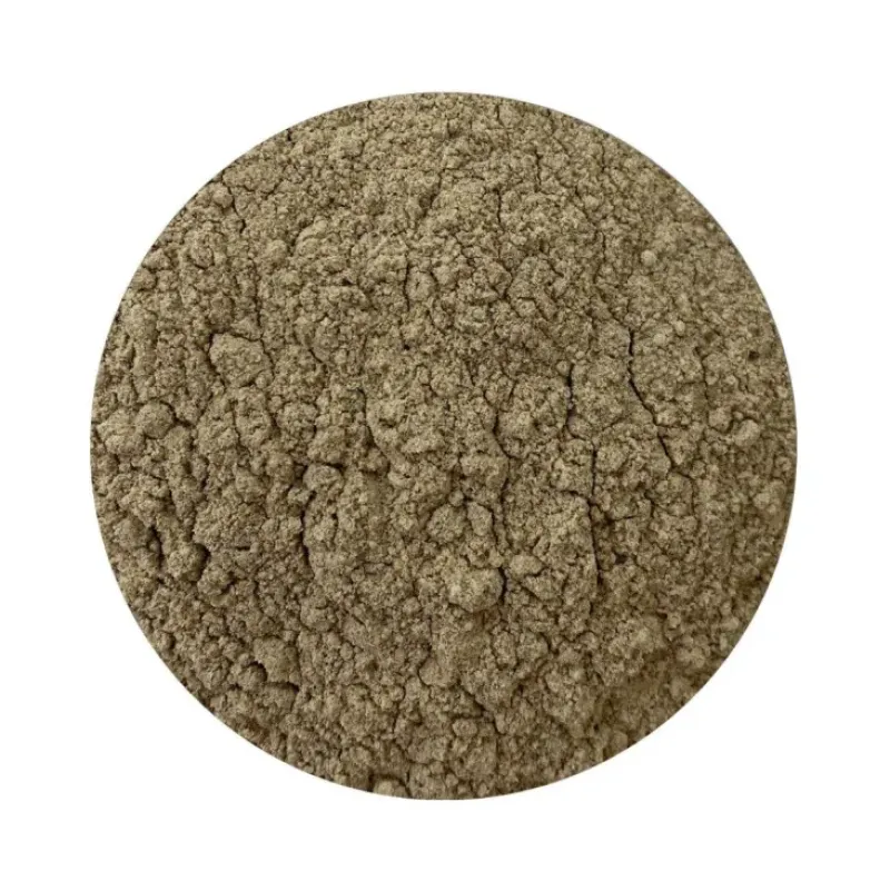 Naturaplaza Berry Booster Blend Poeder Biologisch Sale