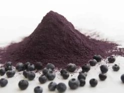 Naturaplaza Blauwe Bessen Poeder Gevriesdroogd Biologisch Clearance