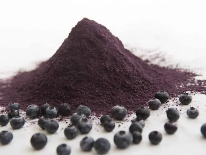 Naturaplaza Blauwe Bessen Poeder Gevriesdroogd Biologisch Clearance