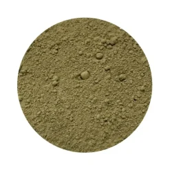Naturaplaza Brahmi Poeder Biologisch Outlet