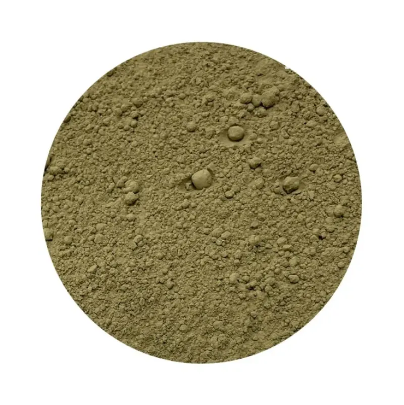 Naturaplaza Brahmi Poeder Biologisch Outlet