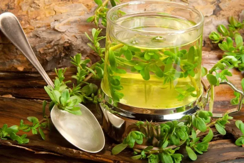 Naturaplaza Brahmi Poeder Biologisch Outlet