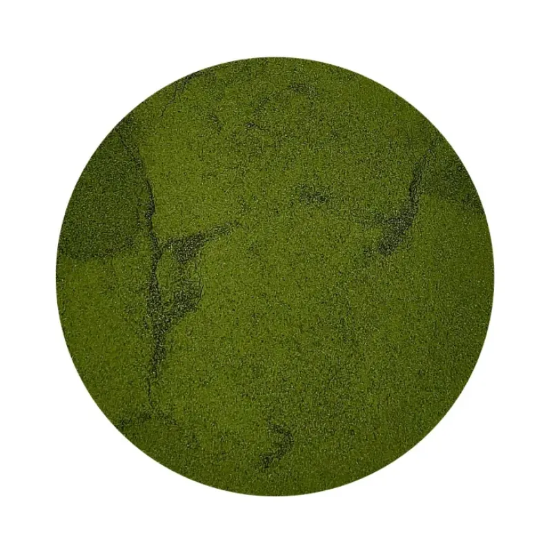 Naturaplaza Brandnetel poeder Biologisch Hot