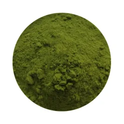 Naturaplaza Broccoli Poeder Biologisch Best