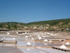 Naturaplaza Bronwaterzout Portugal 0.1-5 mm Discount