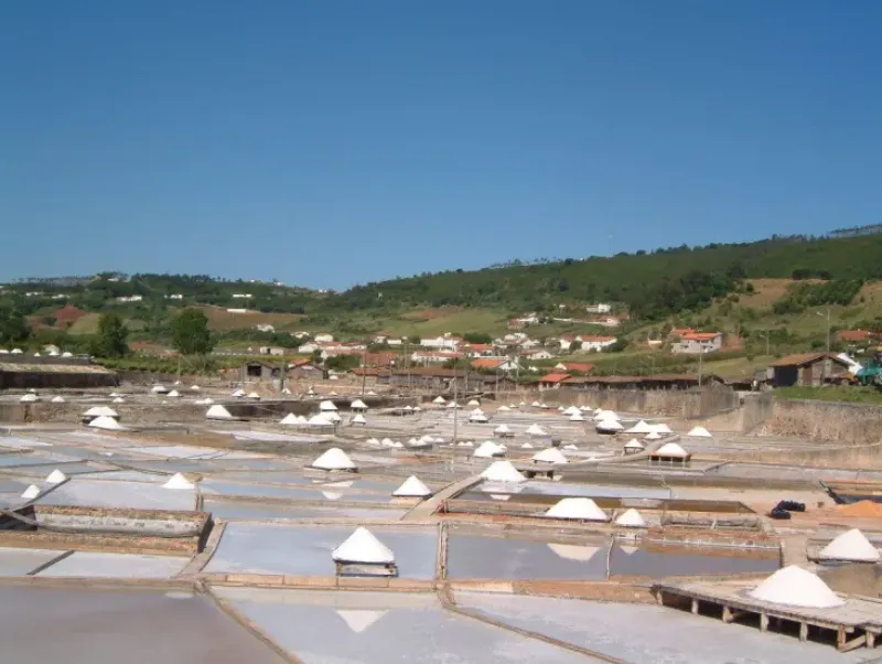 Naturaplaza Bronwaterzout Portugal 0.1-5 mm Discount