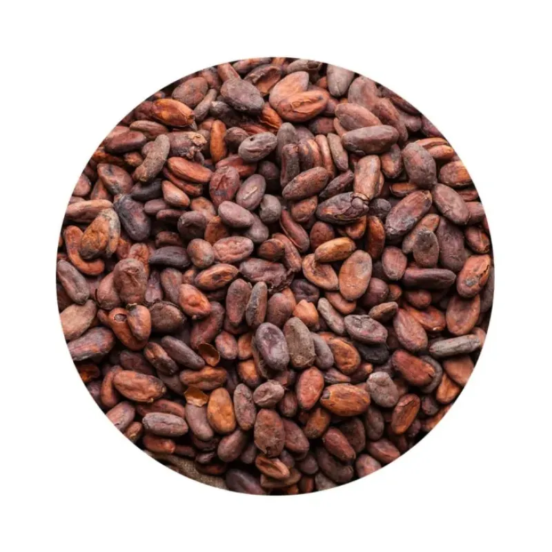 Naturaplaza Cacaobonen Raw Biologisch Sale