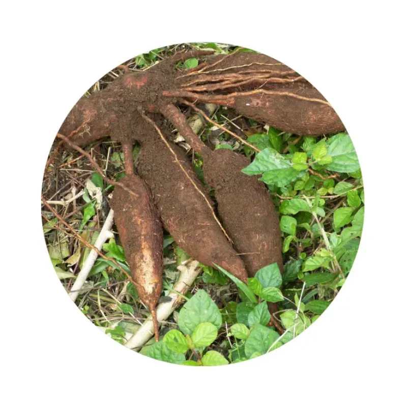 Naturaplaza Cassavemeel Wit Biologisch Best