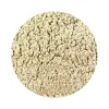 Naturaplaza Champignon Poeder Agaricus camprestis Biologisch Best