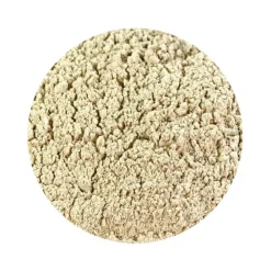 Naturaplaza Champignon Poeder Agaricus camprestis Biologisch Best