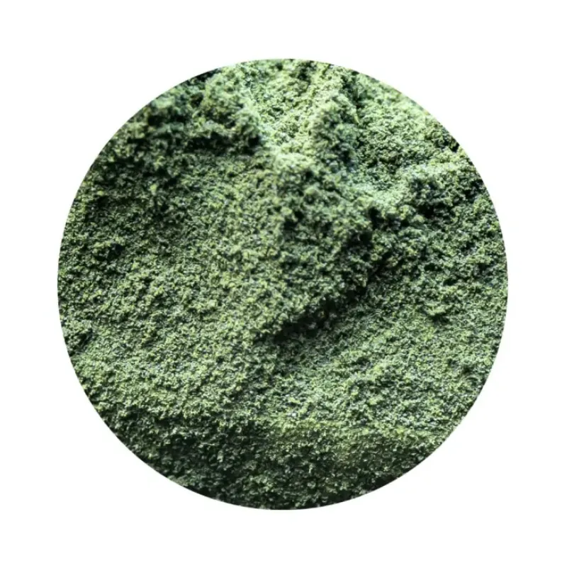 Naturaplaza Chlorella Poeder Biologisch Fashion