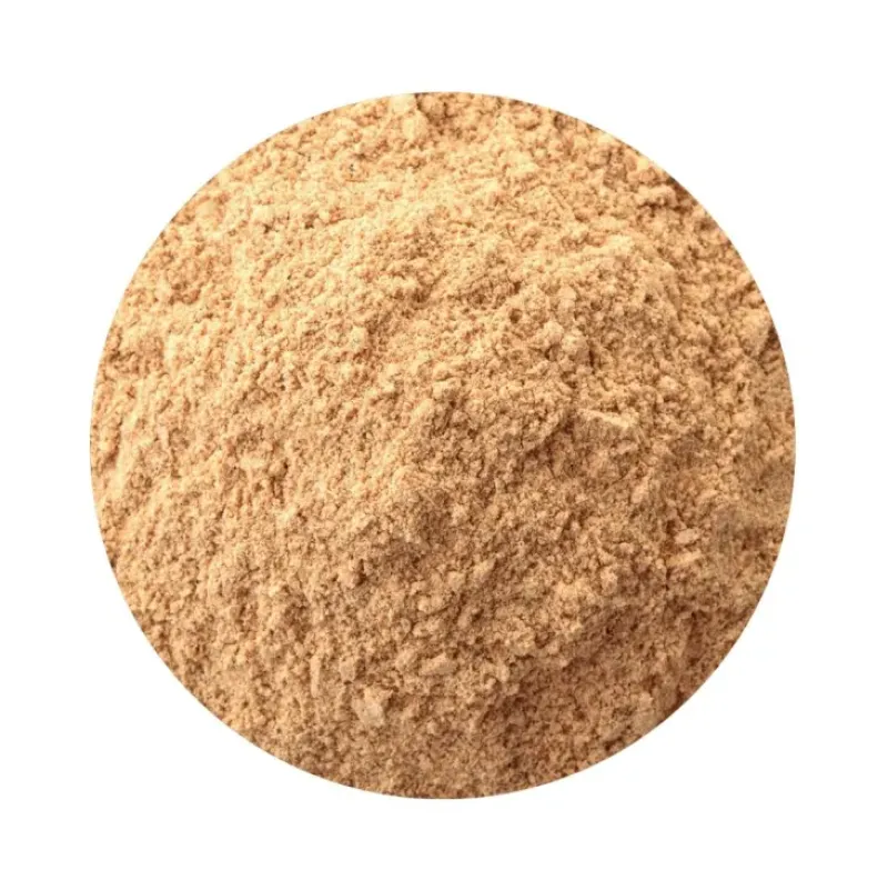 Naturaplaza Citroen Gember Poeder kiemarm Biologisch New