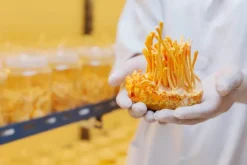 Naturaplaza Cordyceps Sinensis Extract 30% Biologisch Discount