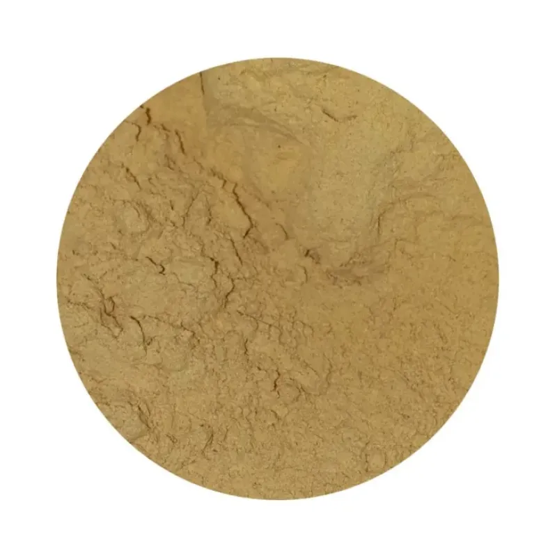 Naturaplaza Cordyceps Sinensis Paddenstoel Poeder Biologisch Discount