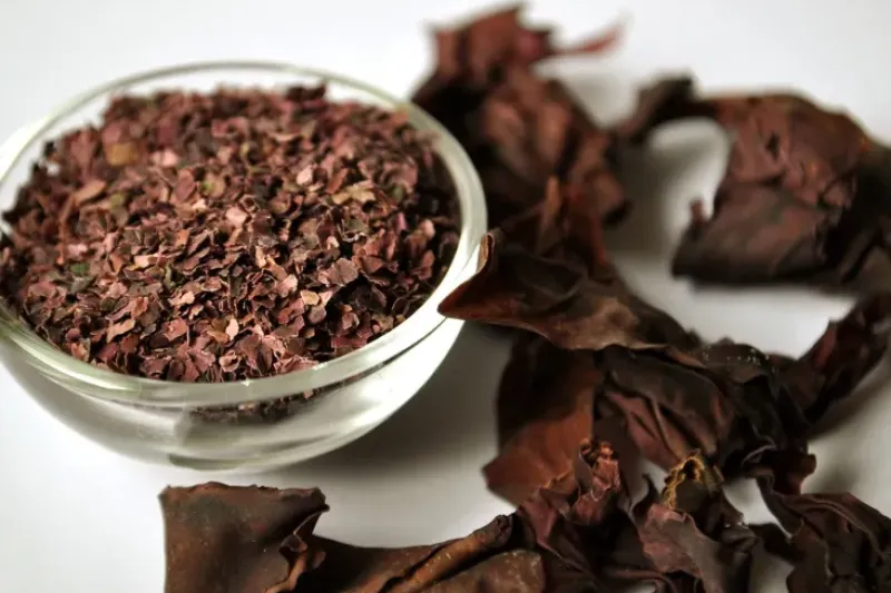 Naturaplaza Dulse Zeewier Poeder Biologisch Discount