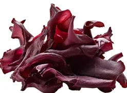 Naturaplaza Dulse Zeewier Poeder Biologisch Discount