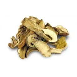 Naturaplaza Eekhoorntjesbrood Poeder Boletus Biologisch Online