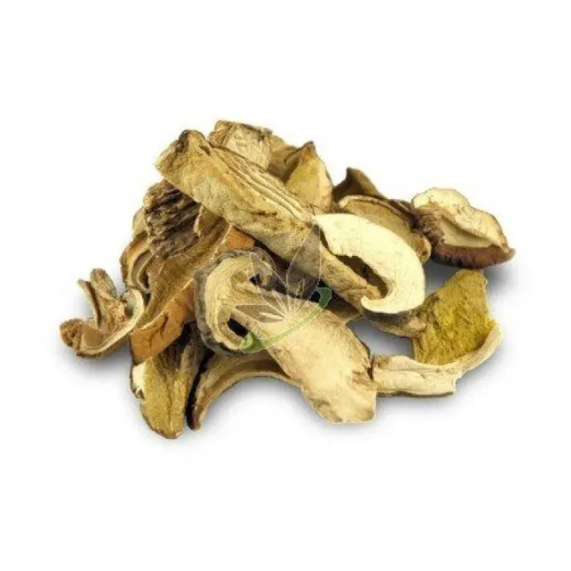 Naturaplaza Eekhoorntjesbrood Poeder Boletus Biologisch Online