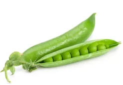 Naturaplaza Eiwit Blend (Hennep - Erwt - Rijst) Biologisch (75% Proteïne) Outlet