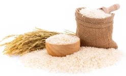 Naturaplaza Eiwit Blend (Hennep - Erwt - Rijst) Biologisch (75% Proteïne) Outlet