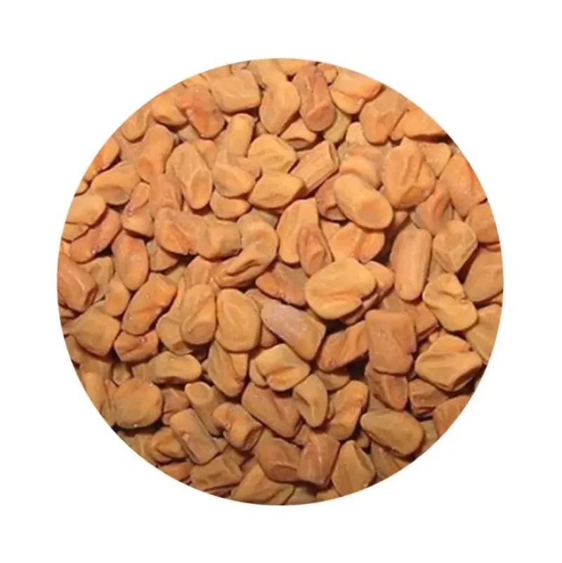 Naturaplaza Fenegriekzaad Heel kiemarm Biologisch New