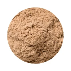 Naturaplaza Galangawortel Poeder Biologisch Hot