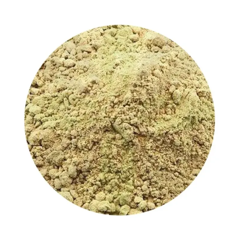 Naturaplaza Gember Poeder kiemarm Biologisch New