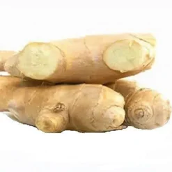 Naturaplaza Gember Poeder kiemarm Biologisch New