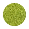 Naturaplaza Gerstegras Poeder (EU) Biologisch Online
