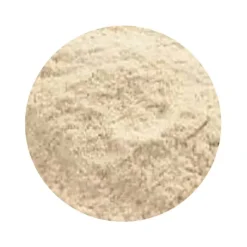 Naturaplaza Glucose DE 29 Biologisch Hot