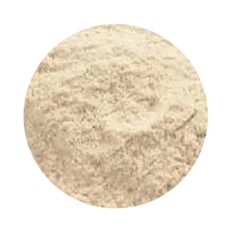 Naturaplaza Glucose DE 29 Biologisch Hot