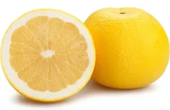 Naturaplaza Grapefruit Sap Concentraat Poeder Biologisch Discount