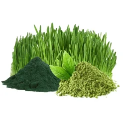 Naturaplaza Green Blend Poeder Biologisch Outlet