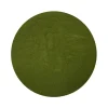 Naturaplaza 5-Greens Sap Concentraat Poeder Biologisch Hot