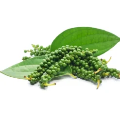 Naturaplaza Groene Peper Heel Biologisch New