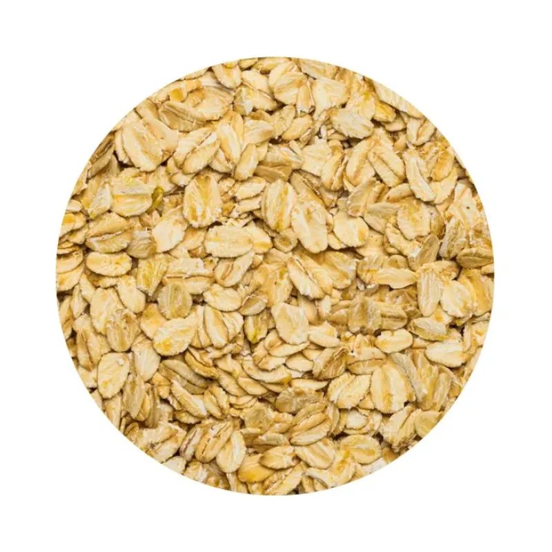 Naturaplaza Havervlokken Grof Glutenvrij Biologisch Outlet