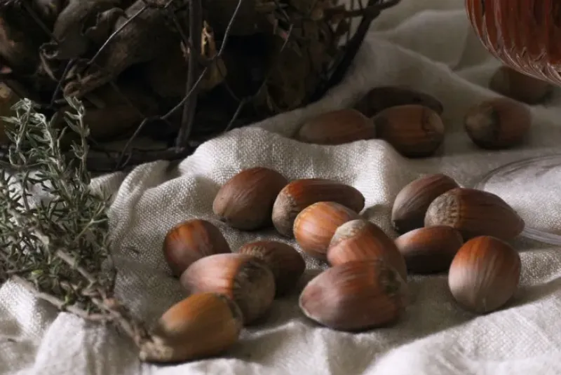 Naturaplaza Hazelnoten 11-13 mm Biologisch Best